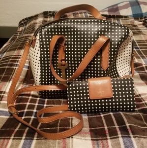 Polka Dot Fossil Matching Set!